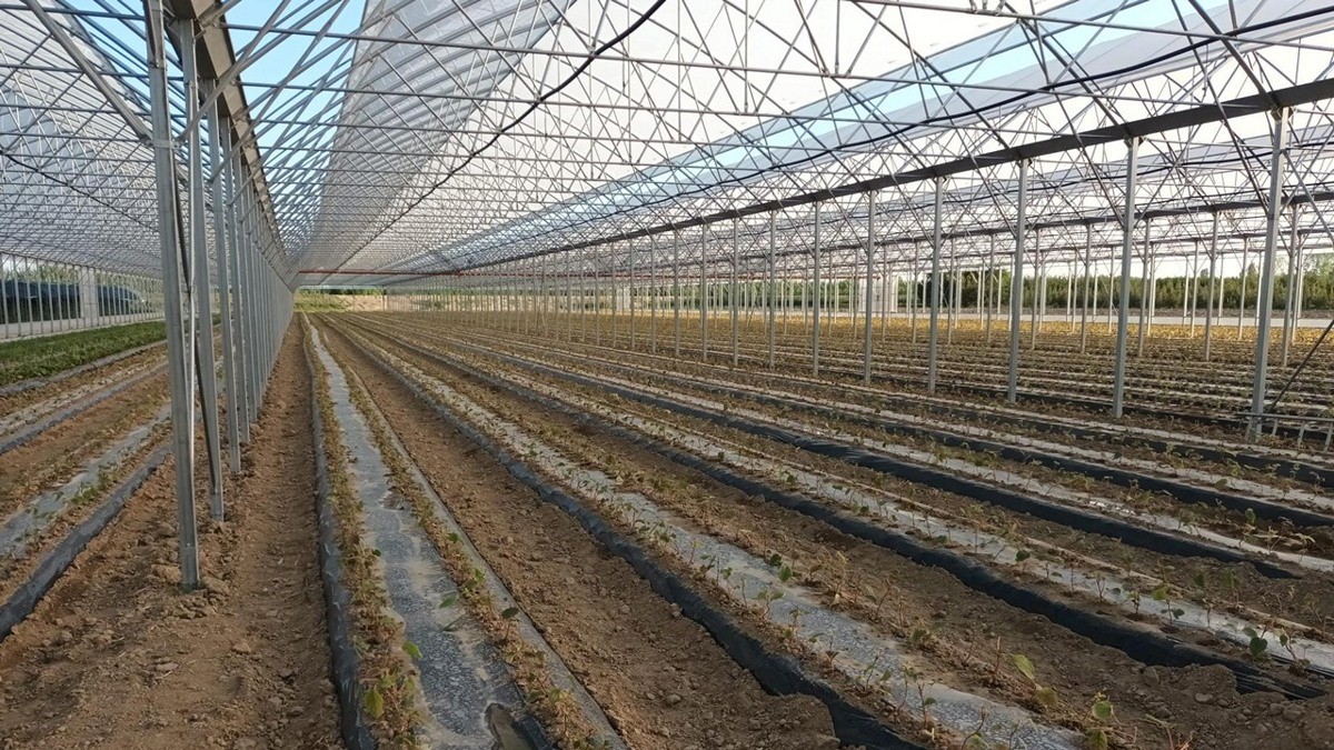 la quercia|Denis Magalotti La Quercia|WhatsApp Image 2024-05-22 at 09.35.04 (2)